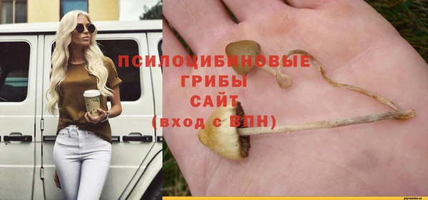 первитин Абинск