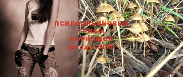 спиды Абдулино