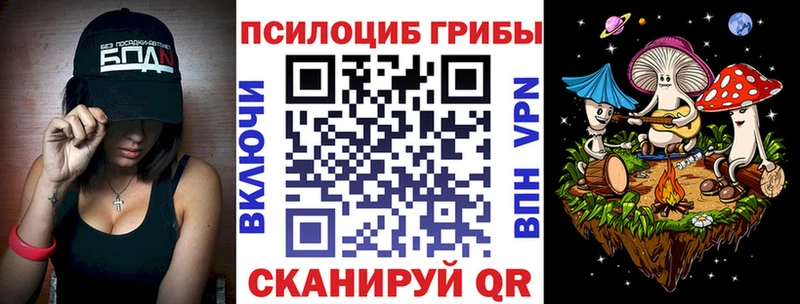 Псилоцибиновые грибы Magic Shrooms  где купить   Гусиноозёрск 